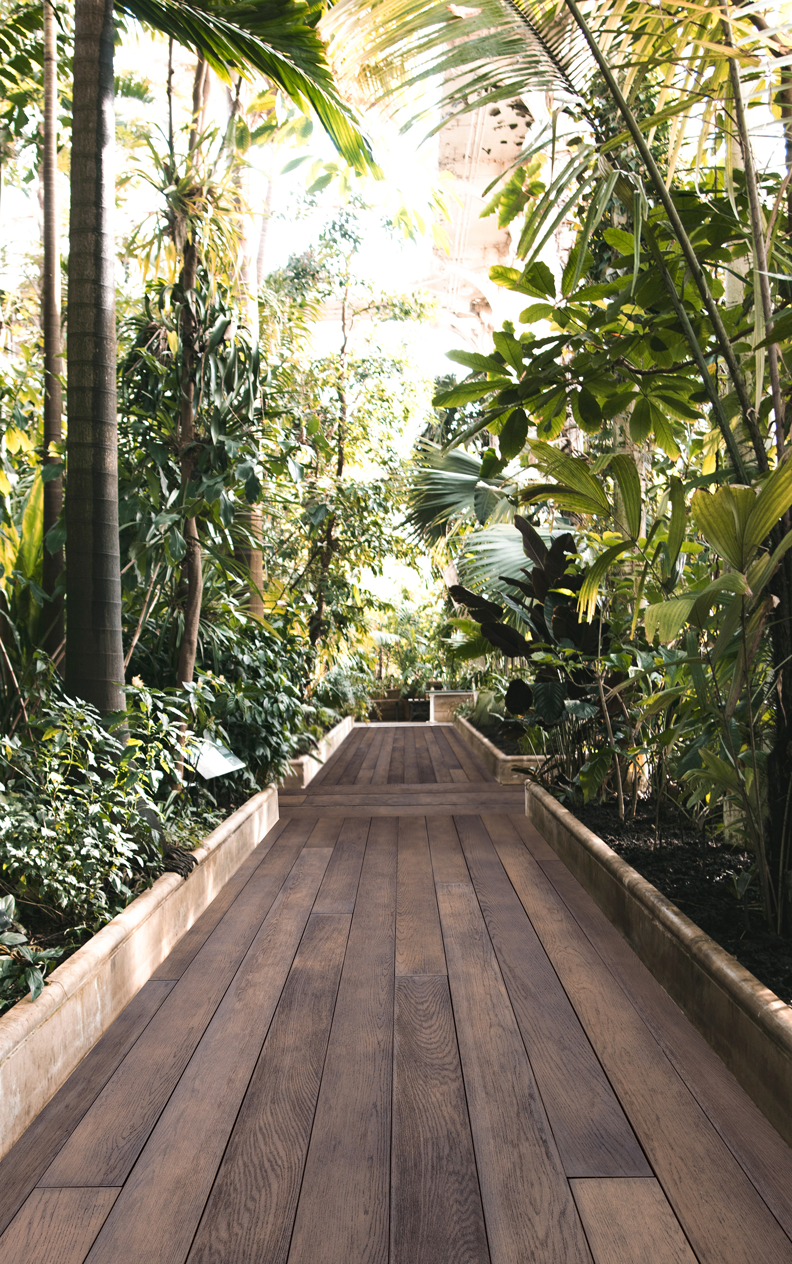 In Planting House Edit]