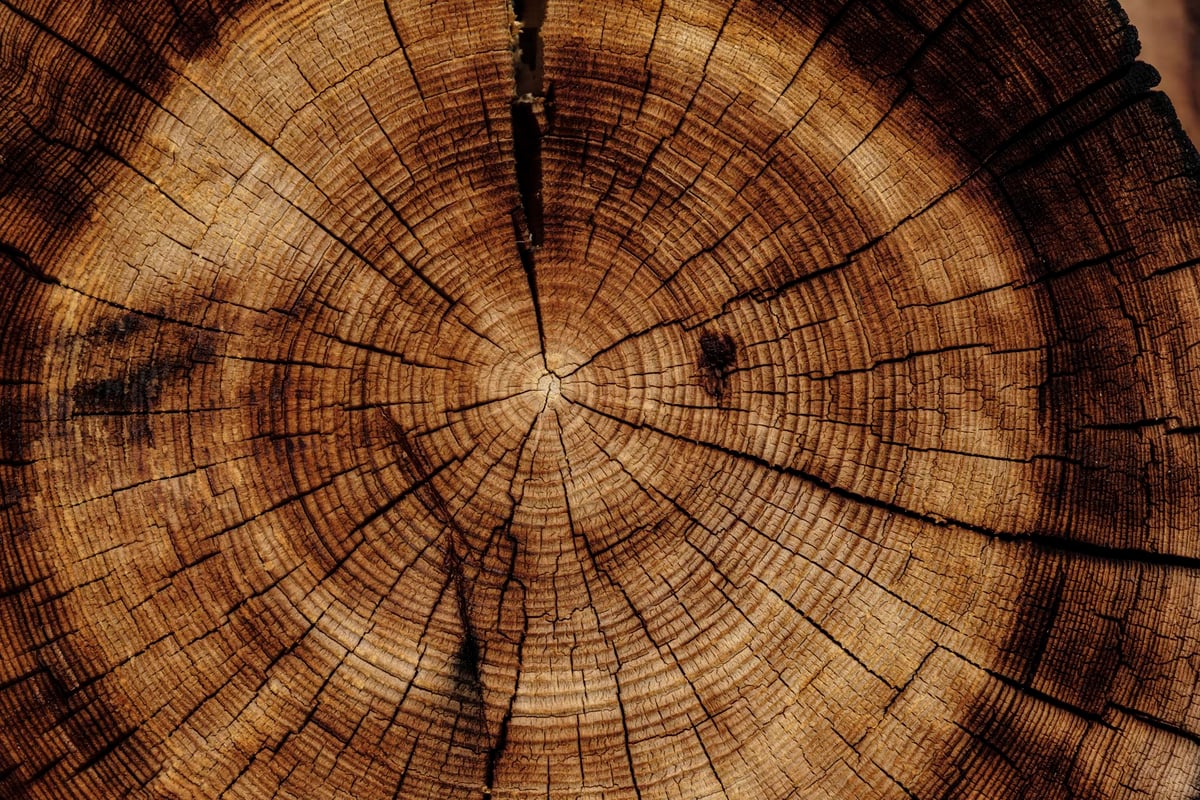 benefits of engineered wood log