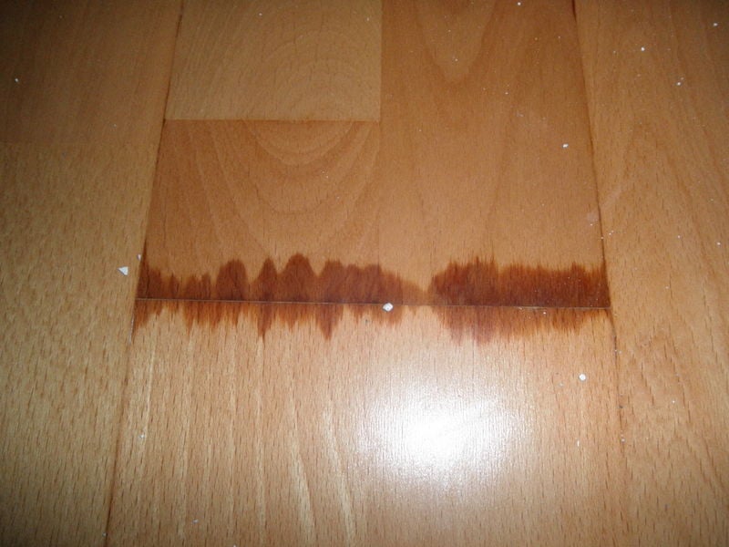 water damage to wood floor