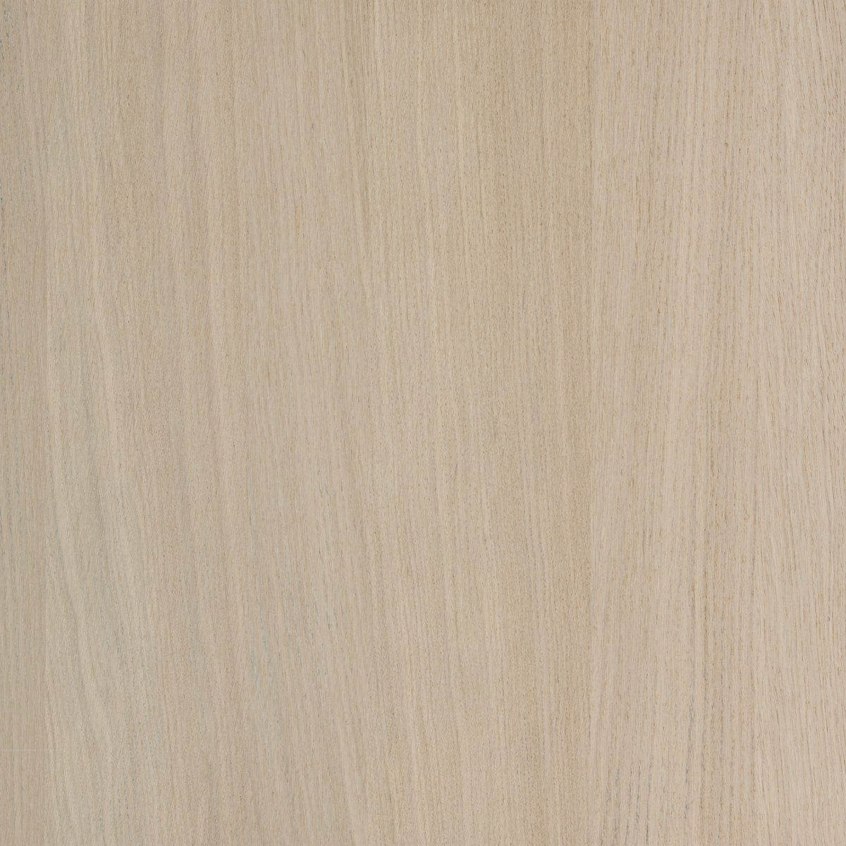 Forté Alor Cove Veneer Panel