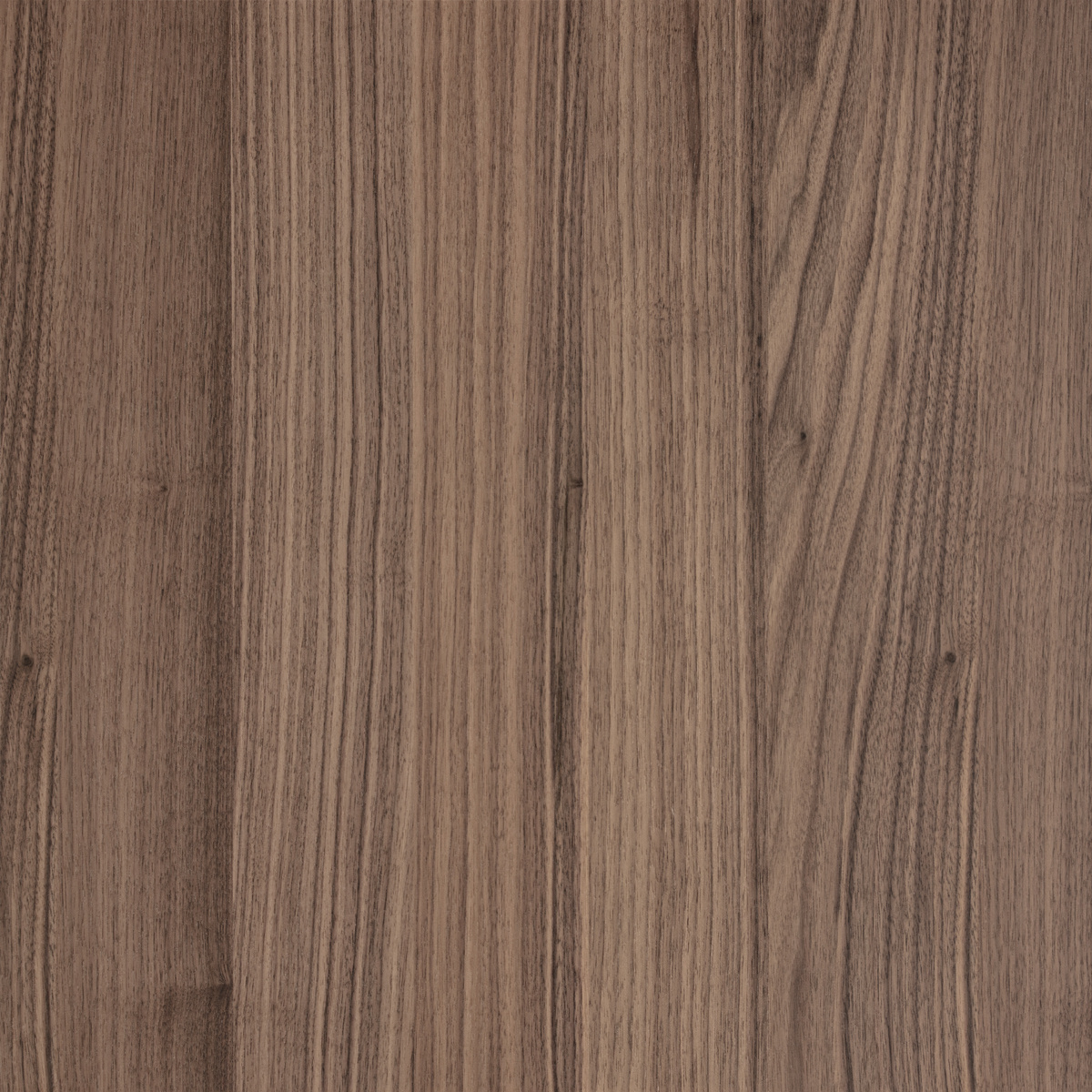 Forté Alor Ember Veneer Panel