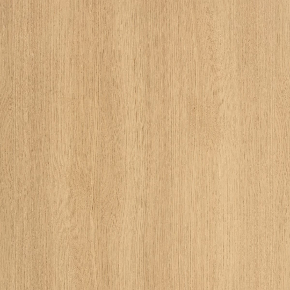 Forté Alor Solis Veneer Panel