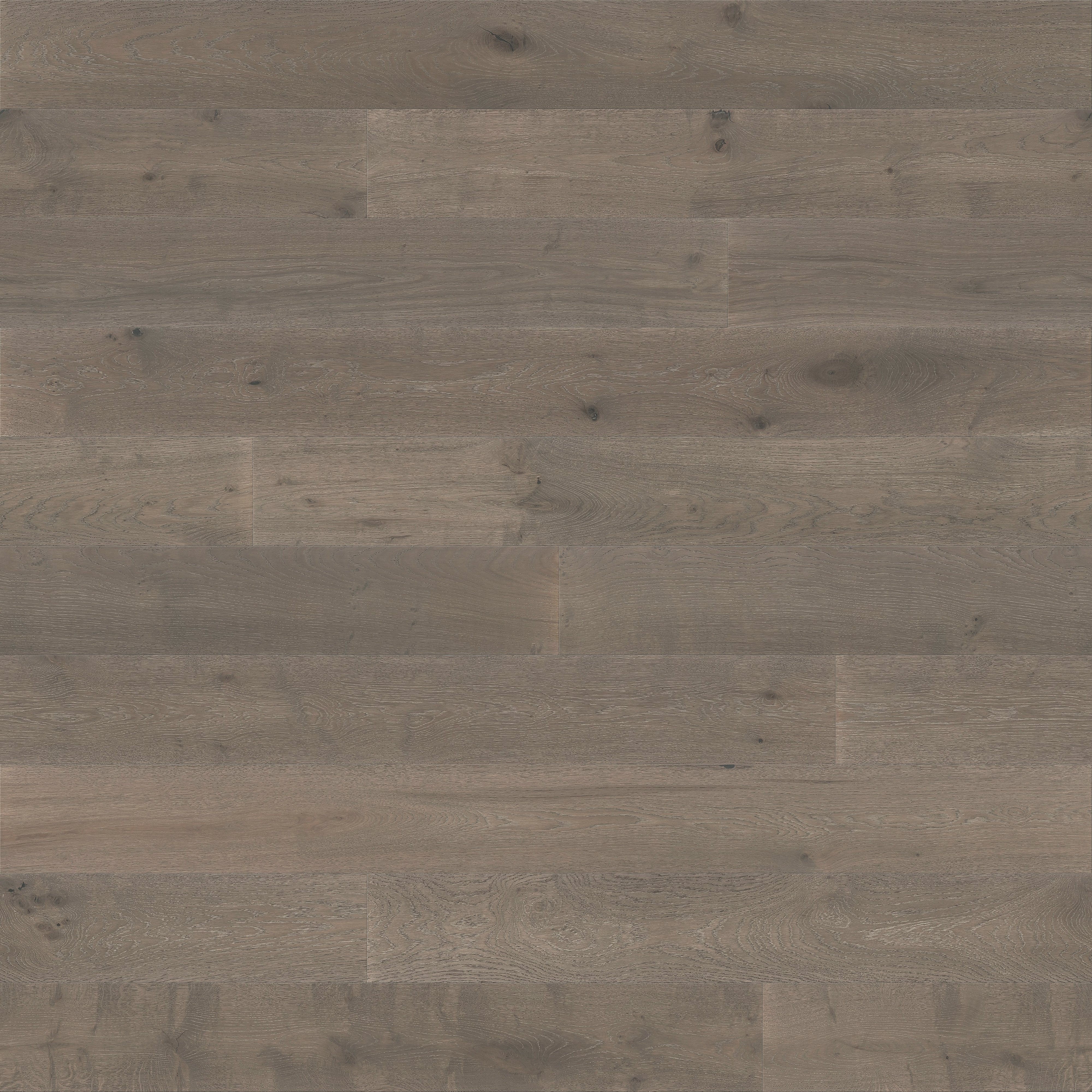 Forté Moda Tuscany Feature Plank Diffuse Texture