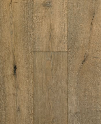 Da-Vinci_Plank-2020-05-20e-350x432