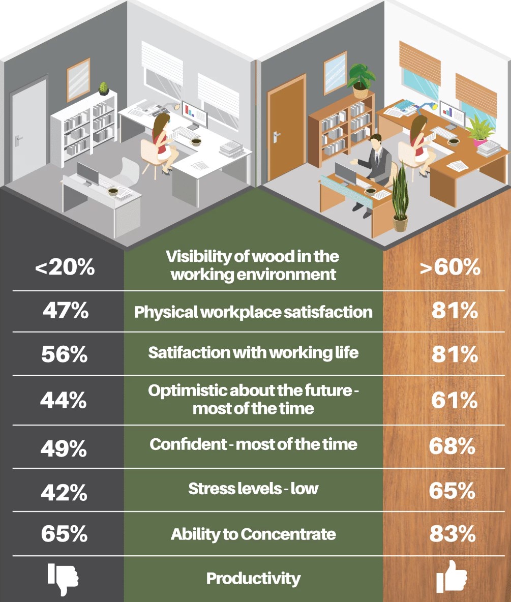 infographic (1)